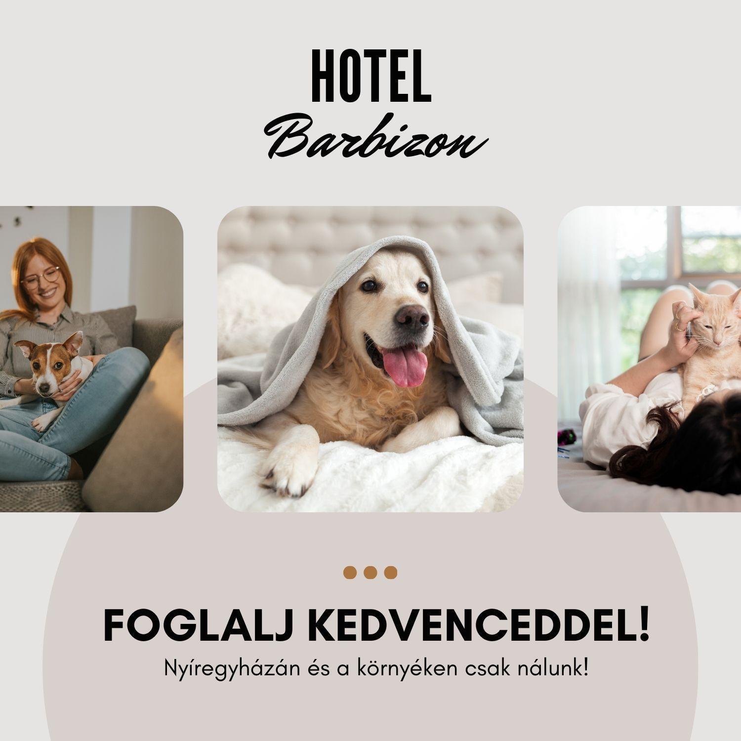 Hotel Barbizon Ньиредьхаза Экстерьер фото